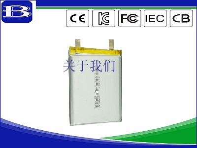 lithium-ion batteries