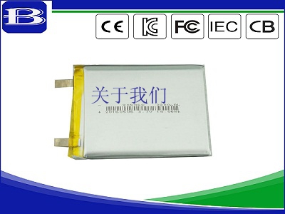 lithium ion batteries