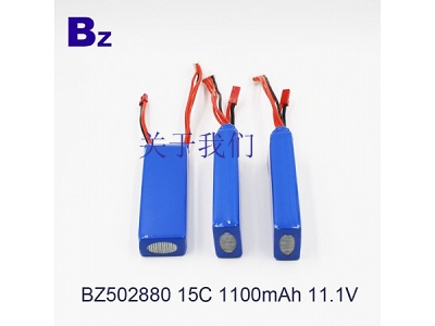 lithium ion battery