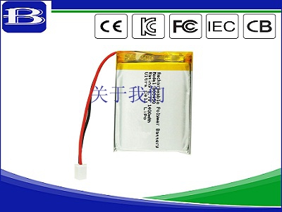 lithium ion batteries