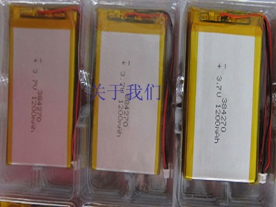 lithium polymer battery