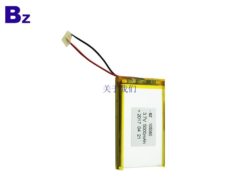 Li-polymer Battery Pack