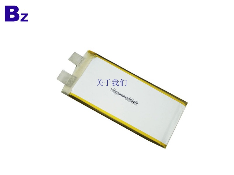 3.7V 10Ah Rechargeable LiPo Battery