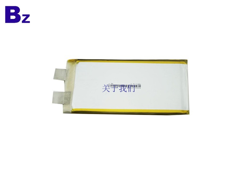 10Ah Rechargeable LiPo Battery