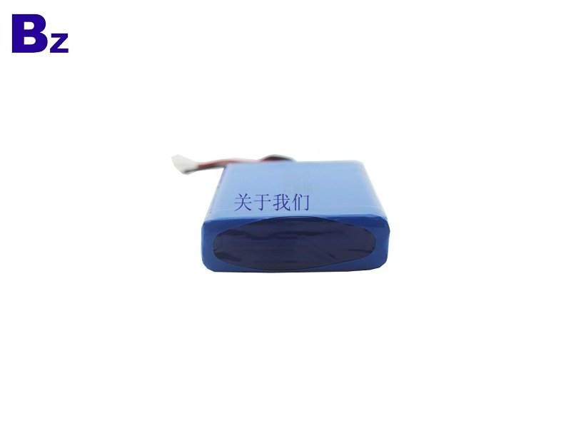 10000mAh  Rechargeable Li-Polymer Battery