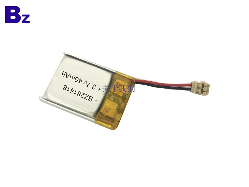 40mAh 3.7V Rechargeable LiPo Battery