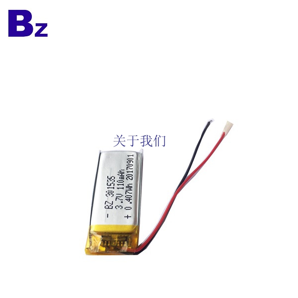 Rechargeable Lithium Polymer Batteries 