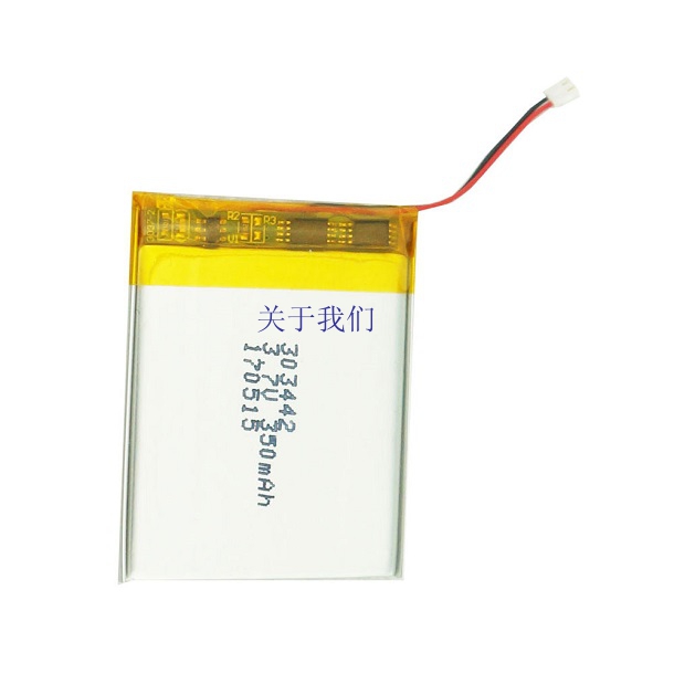 Rechargeable Li-polymer Battery