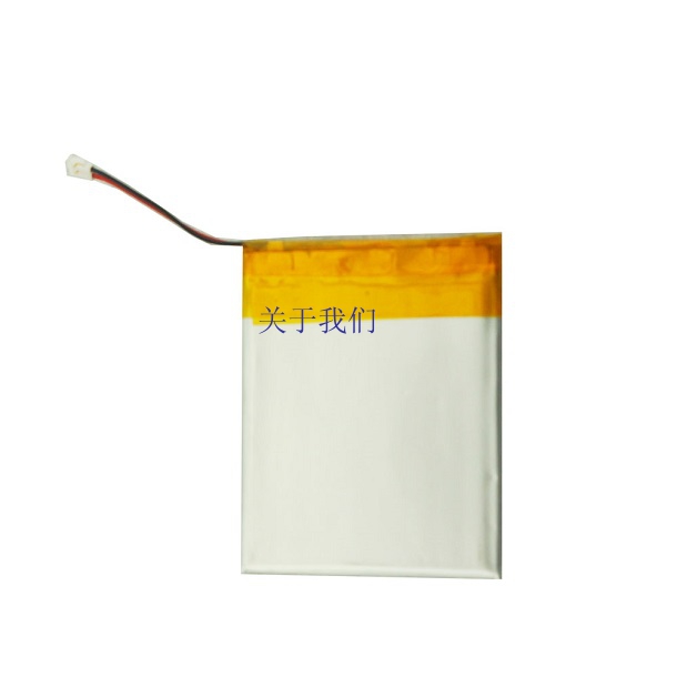 Li-polymer Battery