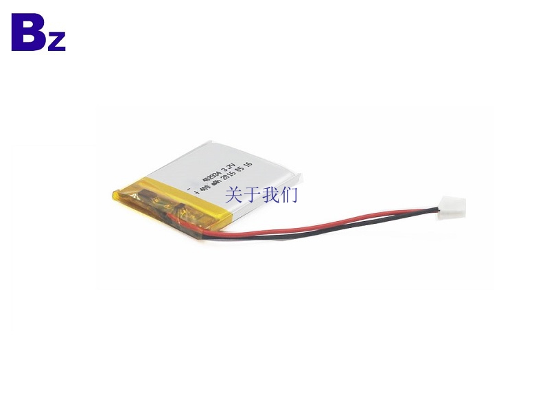 Li-Polymer Battery 