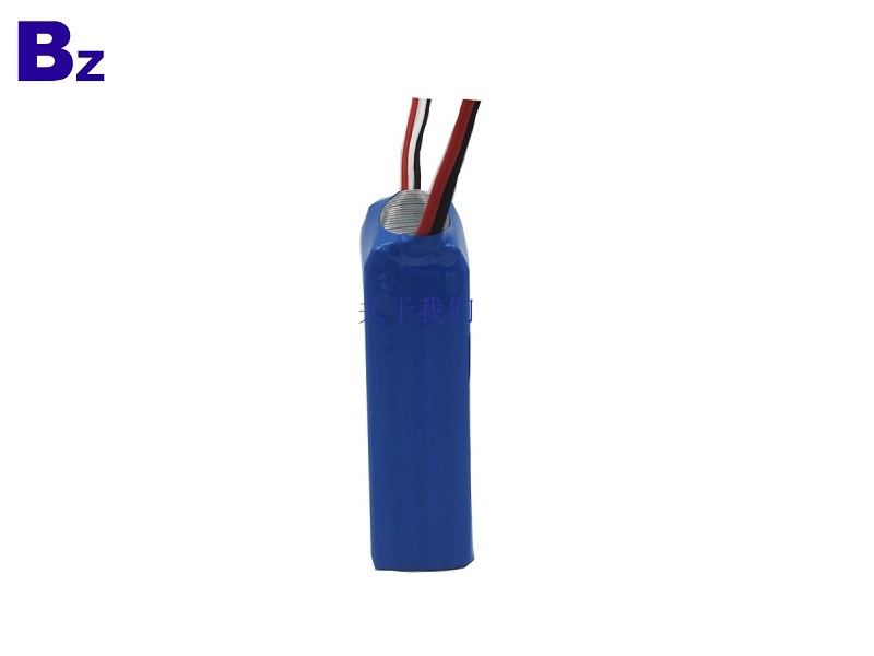  5C LiPo Battery Pack