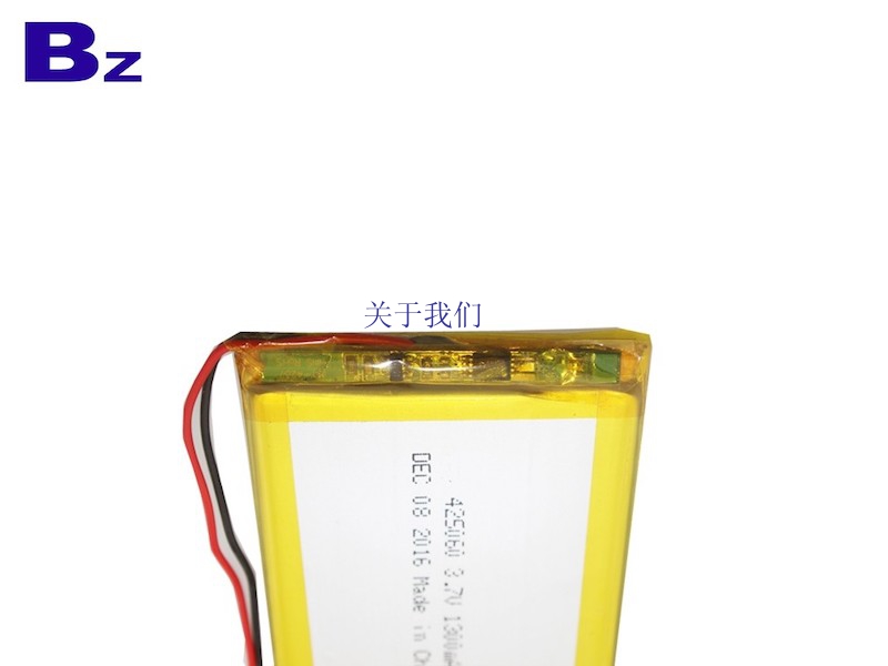 1300mAh Rechargeable LiPo Battery