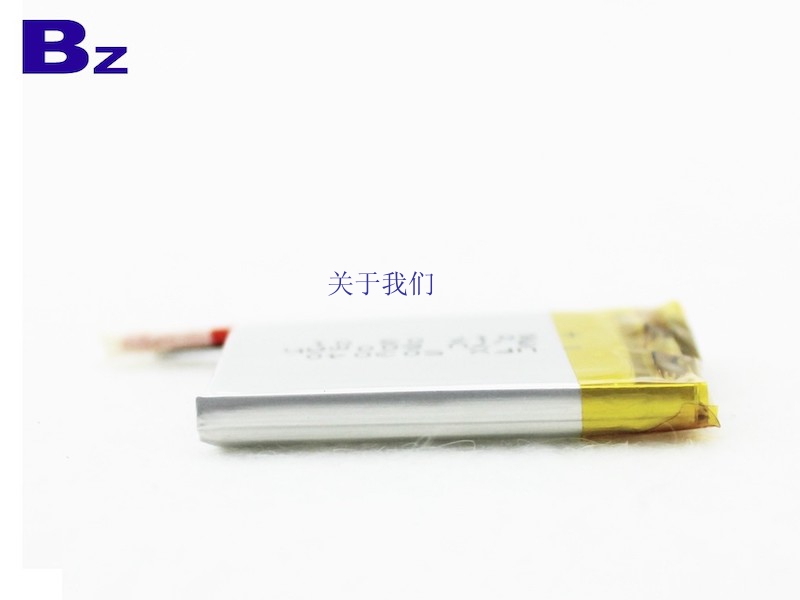 600mAh Rechargeable Li-Polymer Battery