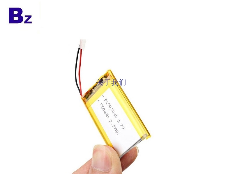 750mAh 3.7V Li-polymer Battery