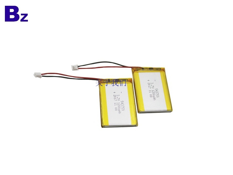 1200mAh Lipo Battery For GPS