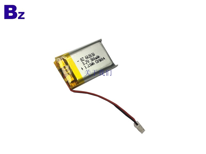 Li-Polymer Battery