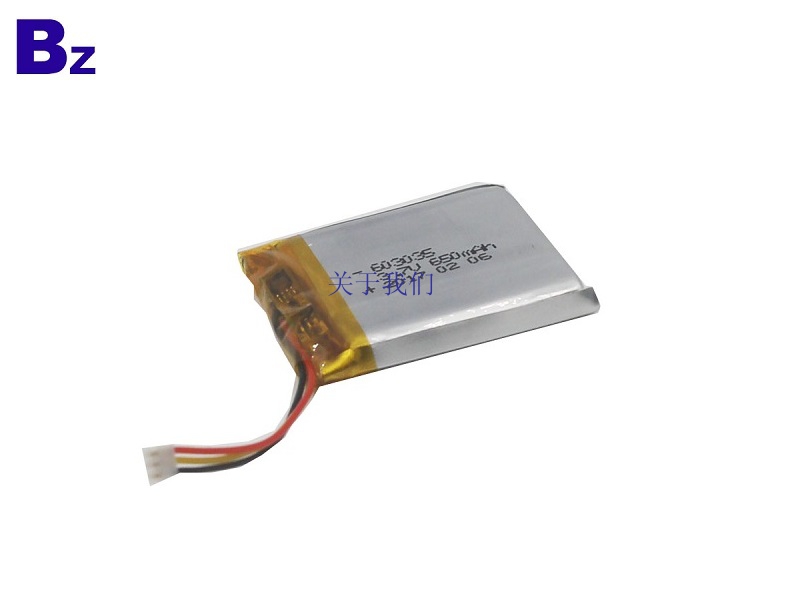 650mAh Li-Polymer Battery