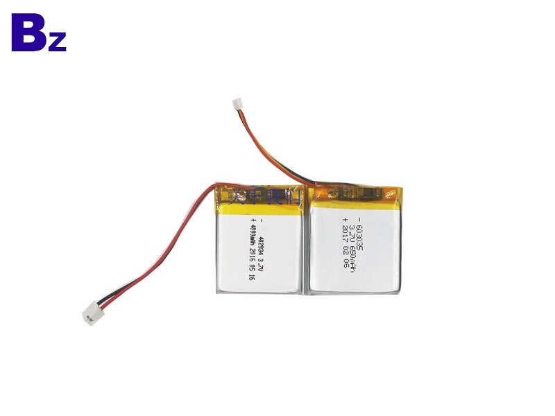 Li-Polymer Battery