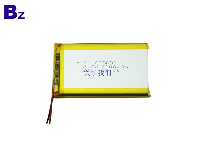 3000mah LiPo Battery