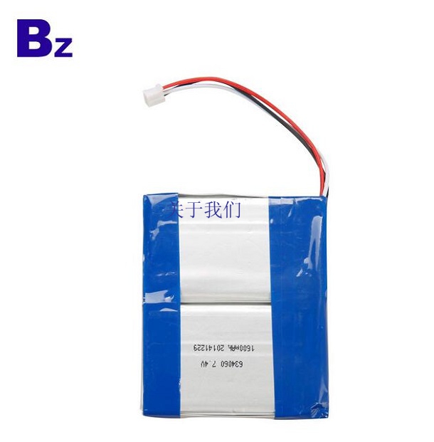 1600mAh Li-polymer Battery