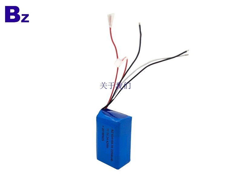 Li-polymer Battery for Air Cleaner