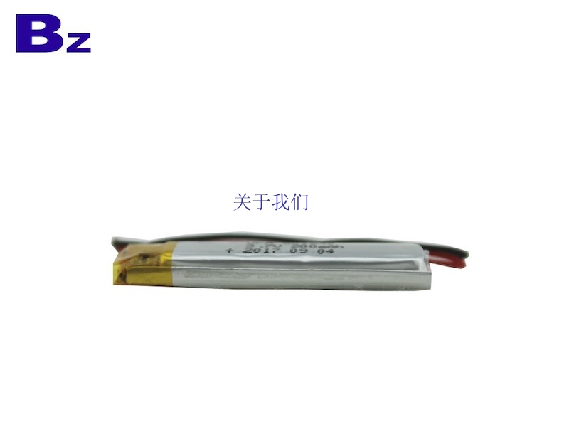 Rechargeable LiPo Battery