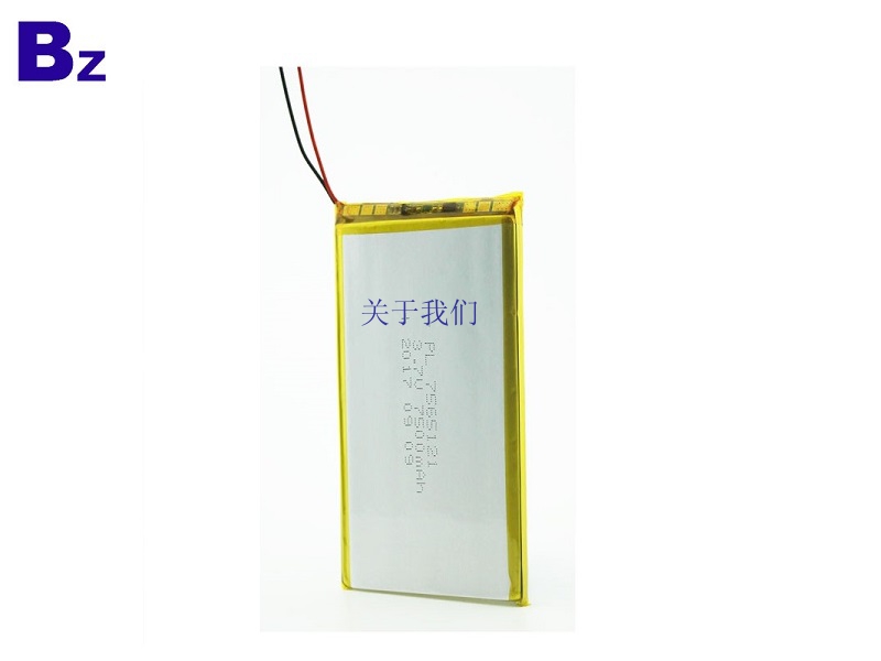 LiPo Battery