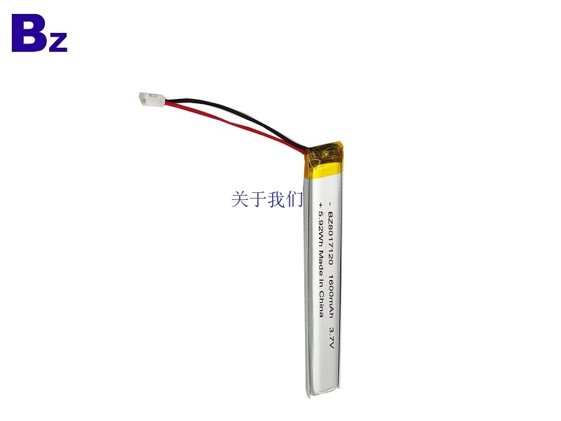 Battery for Flashlight