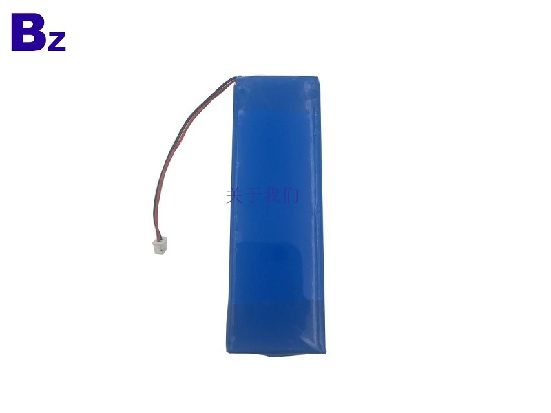Rechargeable LiPo Battery Pack