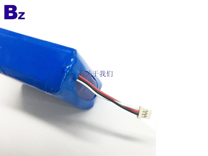 10000mAh 3.7V Rechargeable LiPo Battery