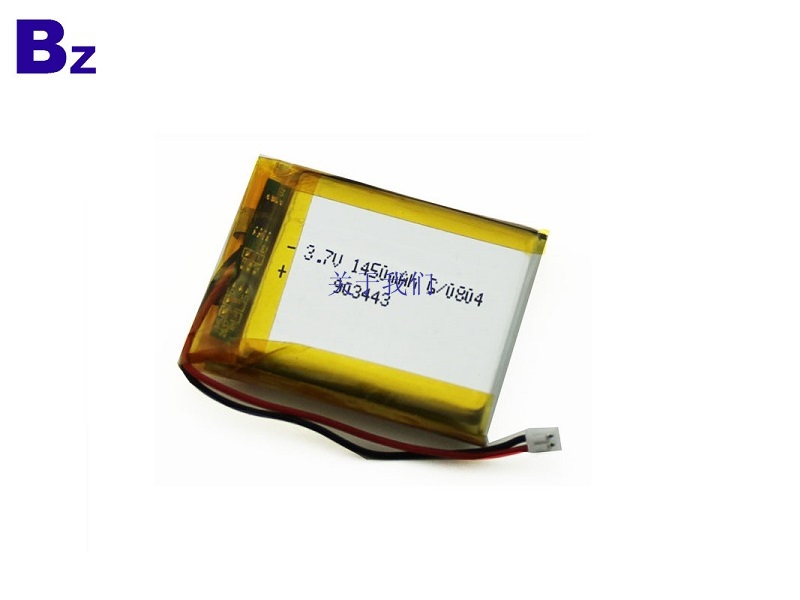 Lithium-ion Polymer Battery