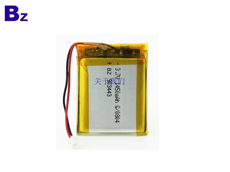 Lithium Polymer Battery