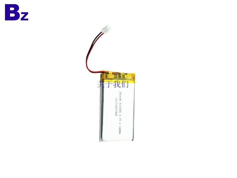 850mah LiPo Battery