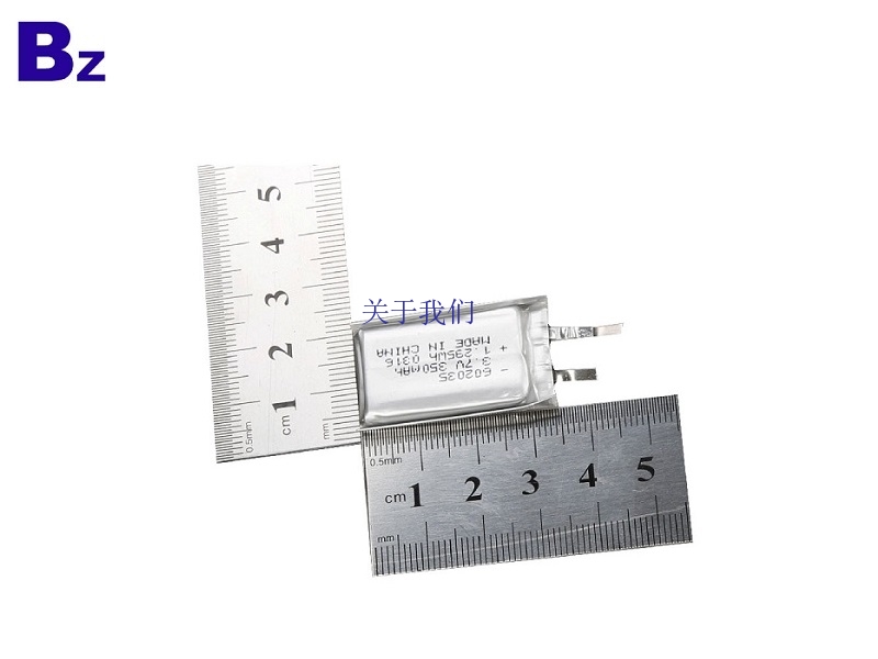 Rechargeable Lithium Battery Cell Factory